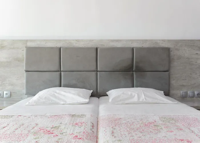 Dionysia S3 * אליקאנאס